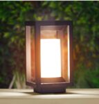 WhatsApp Image 2025-11-14 at 3.16.03 PM