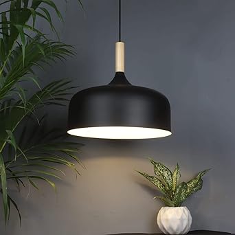Modern Pendant Light for Living Room, Dining Room & Kitchen